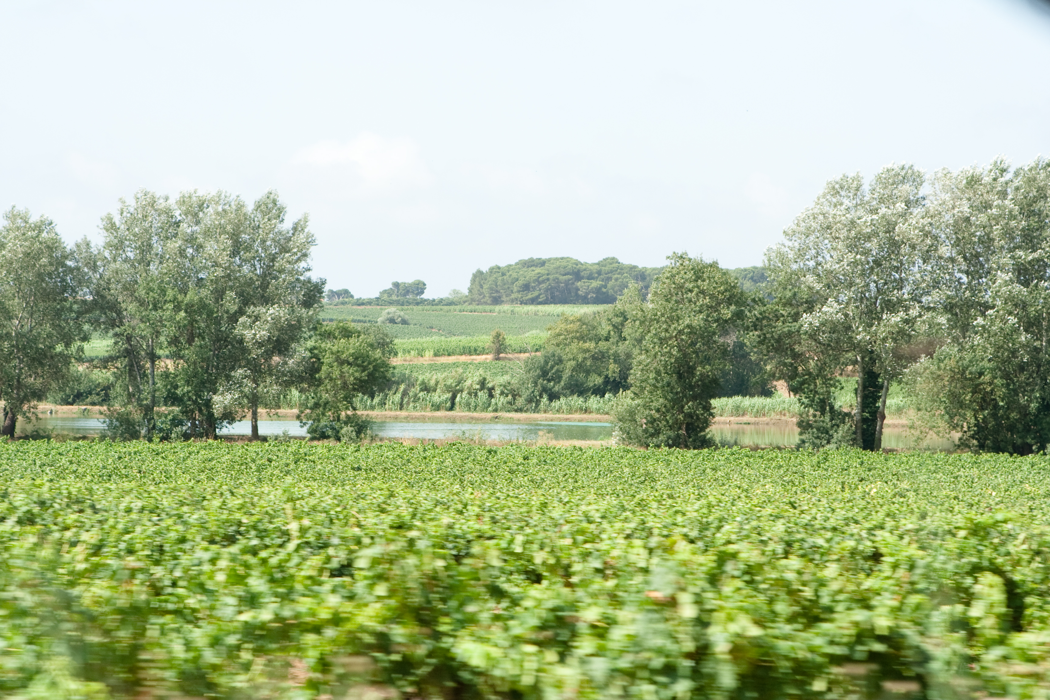 vakantie 2009 wijnproeven-008.jpg